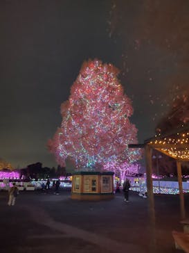東武動物公園に投稿された画像（2023/11/27）