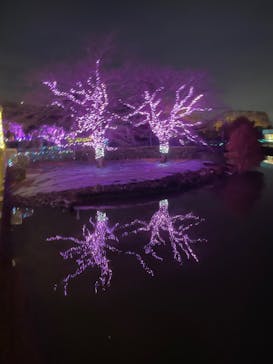 東武動物公園に投稿された画像（2023/11/27）