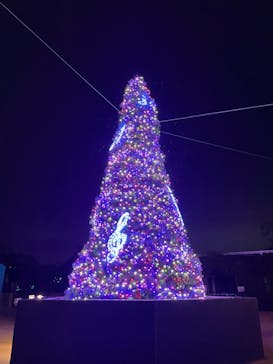 東武動物公園に投稿された画像（2023/11/27）