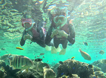 武藤潜水に投稿された画像（2023/11/27）