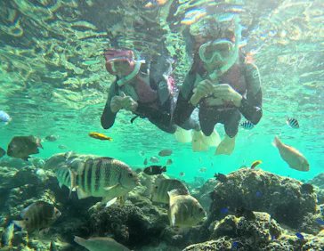 武藤潜水に投稿された画像（2023/11/27）