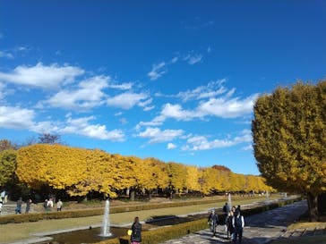 国営昭和記念公園 秋の夜散歩に投稿された画像（2023/11/27）