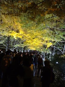 国営昭和記念公園 秋の夜散歩に投稿された画像（2023/11/27）