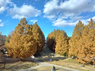 国営昭和記念公園 秋の夜散歩に投稿された画像（2023/11/27）