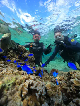 武藤潜水に投稿された画像（2023/11/27）