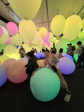 チームラボに投稿された画像（2023/11/27）