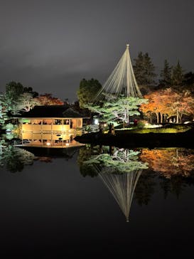 国営昭和記念公園 秋の夜散歩に投稿された画像（2023/11/27）