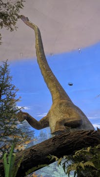 福井県立恐竜博物館に投稿された画像（2023/11/27）