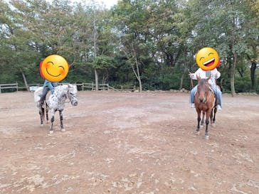 HORSE BASE（ホース ベース）に投稿された画像（2023/11/27）