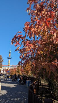 レゴランドⓇ・ジャパン・リゾートに投稿された画像（2023/11/27）