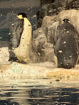 名古屋港水族館に投稿された画像（2023/11/27）