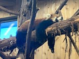 伊豆シャボテン動物公園に投稿された画像（2023/11/27）