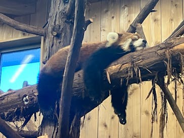 伊豆シャボテン動物公園に投稿された画像（2023/11/27）