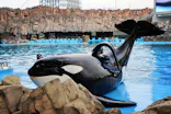 名古屋港水族館に投稿された画像（2023/11/27）