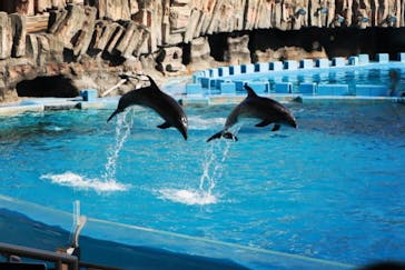 名古屋港水族館に投稿された画像（2023/11/27）