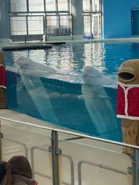 横浜・八景島シーパラダイスに投稿された画像（2023/11/27）