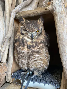 横浜・八景島シーパラダイスに投稿された画像（2023/11/27）