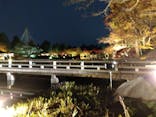 国営昭和記念公園 秋の夜散歩に投稿された画像（2023/11/27）