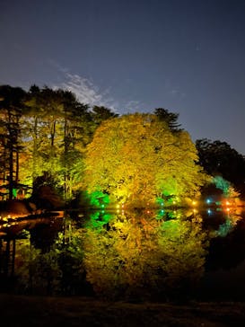 NAKED 紅葉の新宿御苑2023に投稿された画像（2023/11/27）