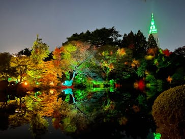 NAKED 紅葉の新宿御苑2023に投稿された画像（2023/11/27）