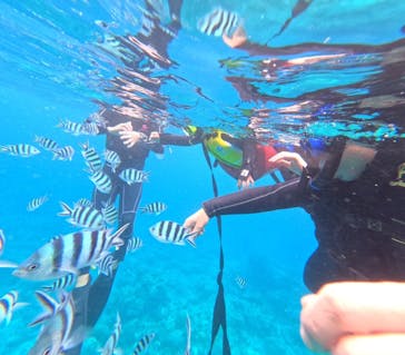 石垣島 ADVENTURE PiPi（イシガキジマアドベンチャーピピ）に投稿された画像（2023/11/27）