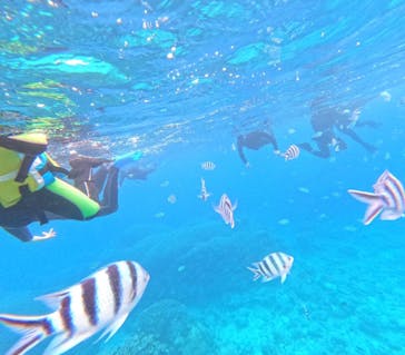 石垣島 ADVENTURE PiPi（イシガキジマアドベンチャーピピ）に投稿された画像（2023/11/27）