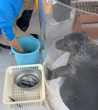 しながわ水族館に投稿された画像（2023/11/27）