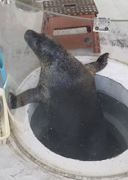 しながわ水族館に投稿された画像（2023/11/27）