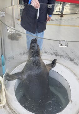 しながわ水族館に投稿された画像（2023/11/27）