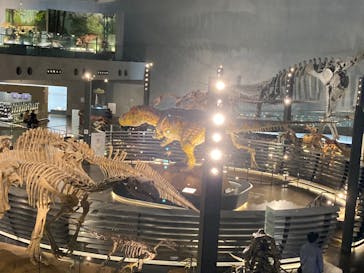 福井県立恐竜博物館に投稿された画像（2023/11/27）
