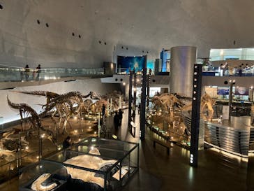 福井県立恐竜博物館に投稿された画像（2023/11/27）