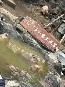 伊豆シャボテン動物公園に投稿された画像（2023/11/27）