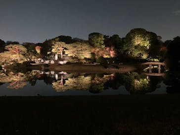 六義園に投稿された画像（2023/11/27）