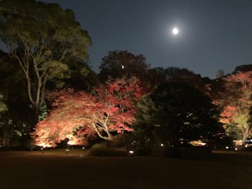 六義園に投稿された画像（2023/11/27）