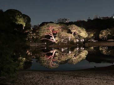 六義園に投稿された画像（2023/11/27）