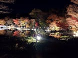 国営昭和記念公園 秋の夜散歩に投稿された画像（2023/11/27）