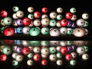 国営昭和記念公園 秋の夜散歩に投稿された画像（2023/11/27）