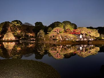 六義園に投稿された画像（2023/11/27）