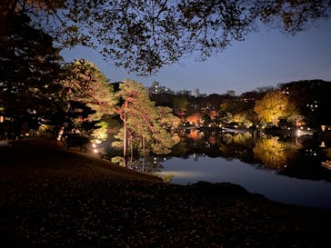 六義園に投稿された画像（2023/11/27）
