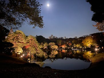 六義園に投稿された画像（2023/11/27）