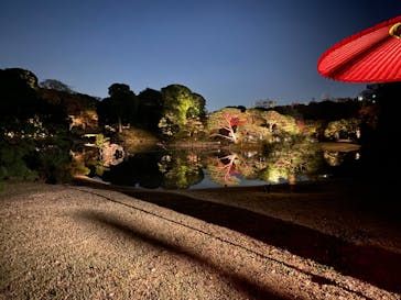 六義園に投稿された画像（2023/11/27）