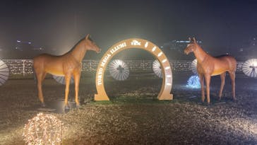 東京メガイルミに投稿された画像（2023/11/27）