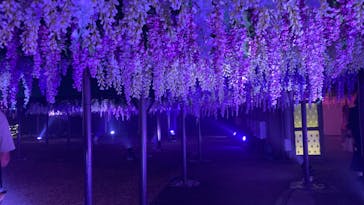 東京メガイルミに投稿された画像（2023/11/27）