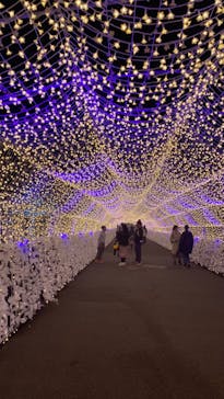 東京メガイルミに投稿された画像（2023/11/27）