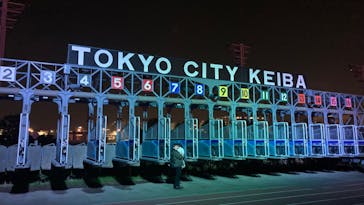 東京メガイルミに投稿された画像（2023/11/27）