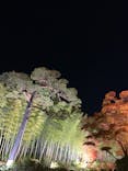 国営昭和記念公園 秋の夜散歩に投稿された画像（2023/11/27）