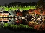 国営昭和記念公園 秋の夜散歩に投稿された画像（2023/11/27）