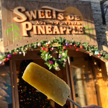 ナゴパイナップルパークに投稿された画像（2023/11/27）