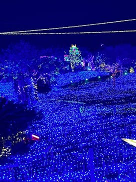 伊豆ぐらんぱる公園に投稿された画像（2023/11/27）