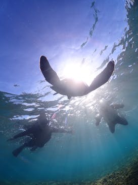 宮古島マリン GB QUESTに投稿された画像（2023/11/27）